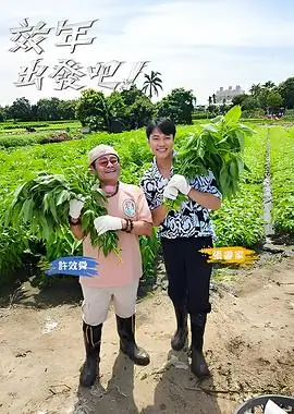 厨房的哲学美食综艺在线观看